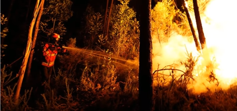 Incendio Forestal deja 62 Muertos y Mas de 50 Heridos en Portugal