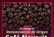 Café Nayarit obtiene Denominación de Origen