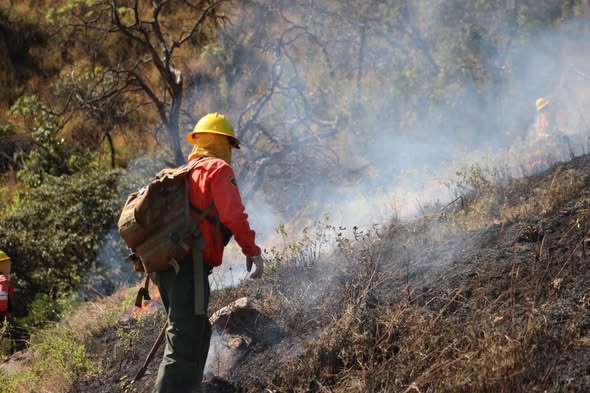 Gobierno de Nayarit mantiene operativo por incendio forestal en el cerro de San Juan