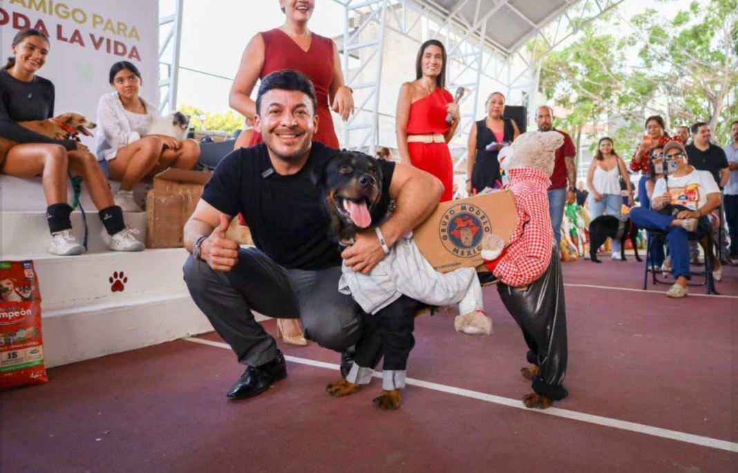 UNIDOS POR EL BIENESTAR ANIMAL