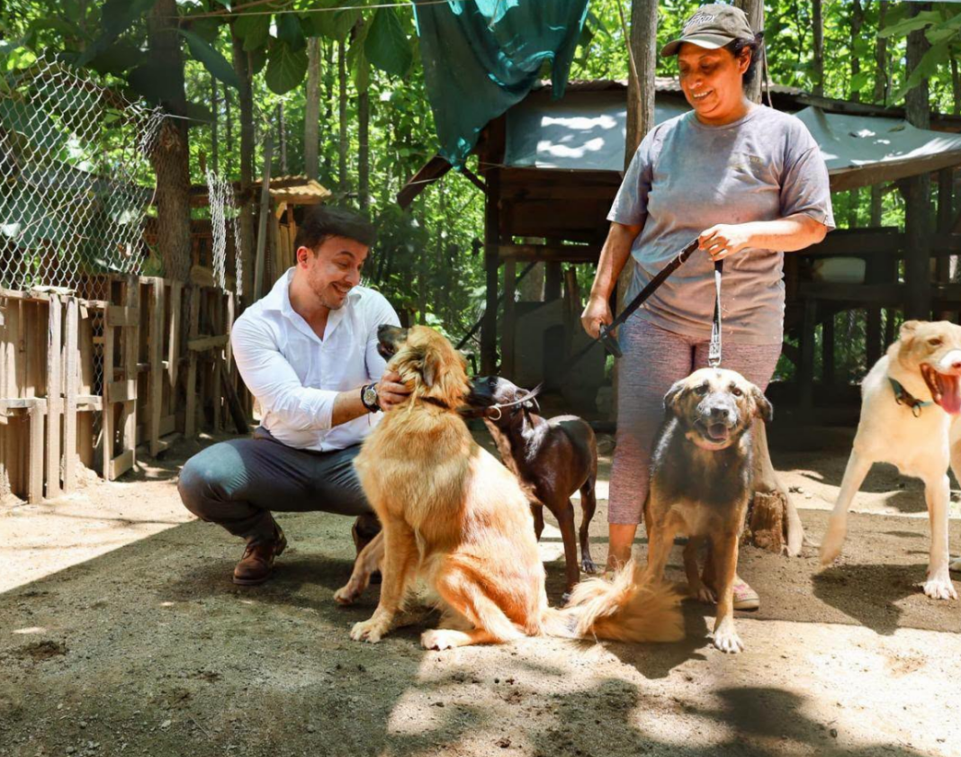 ¡Un día especial para nuestros amigos peludos!