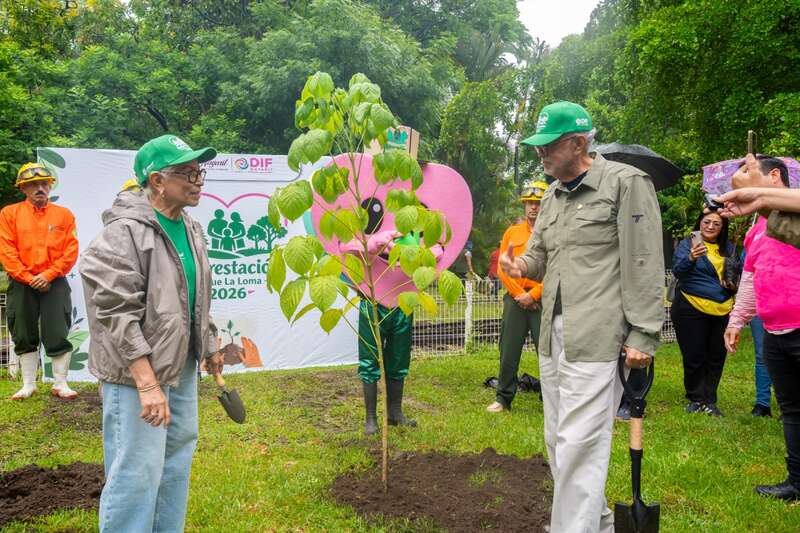 Familias participan en jornada de reforestación en La Loma